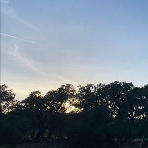 Meet your Posher, Henry